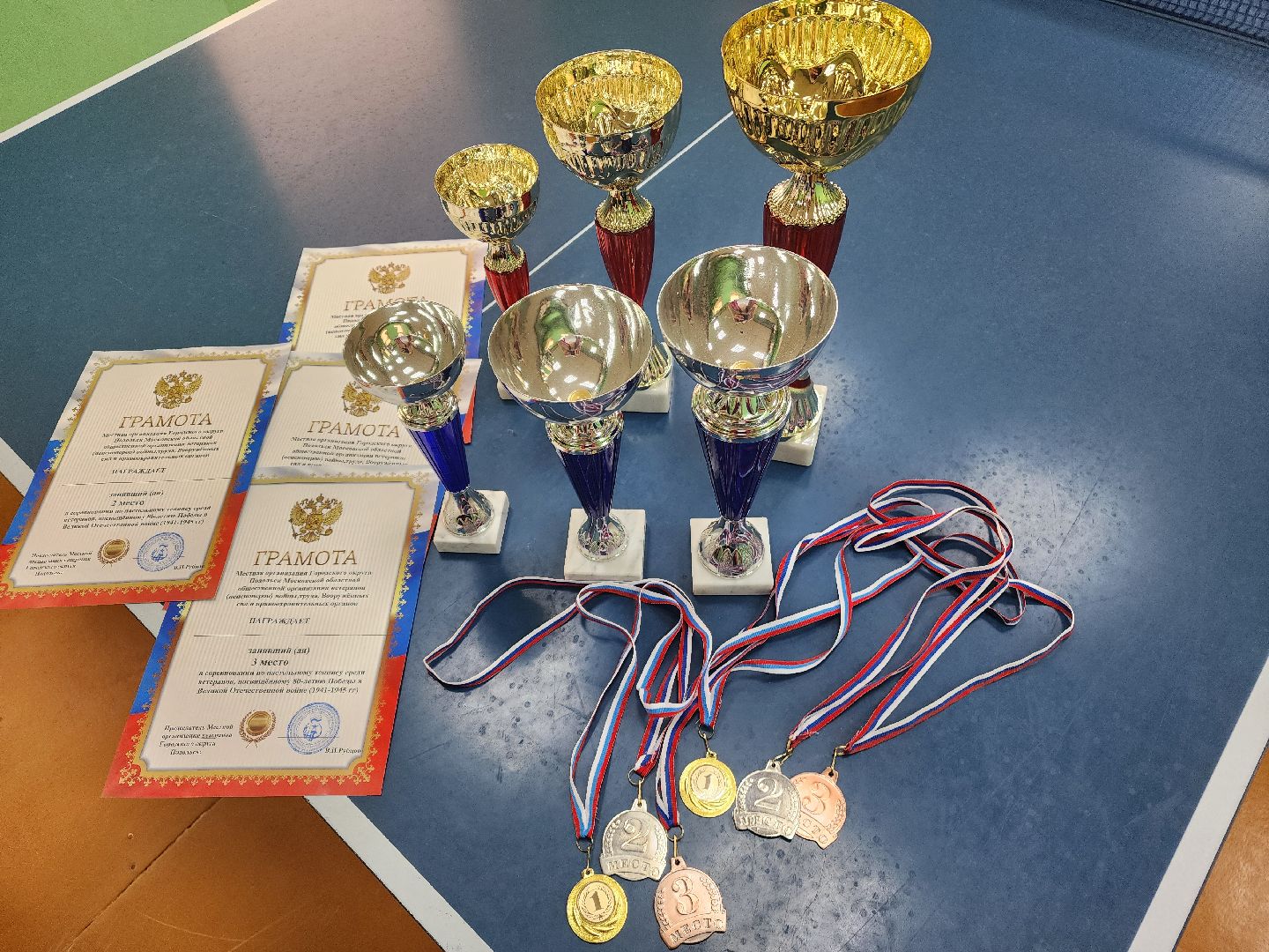 Подольск , ветераны труда, теннис,