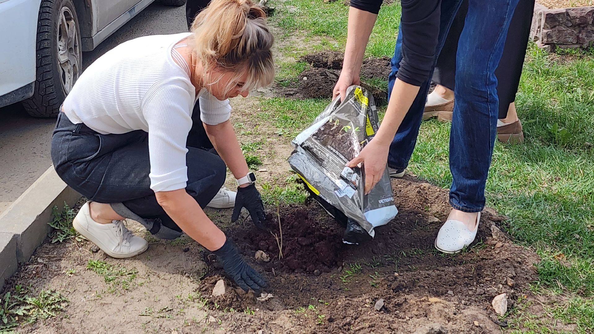 сирень победы, высадка саженцев,  глуховский парк, ногинск, богородский городской округ,