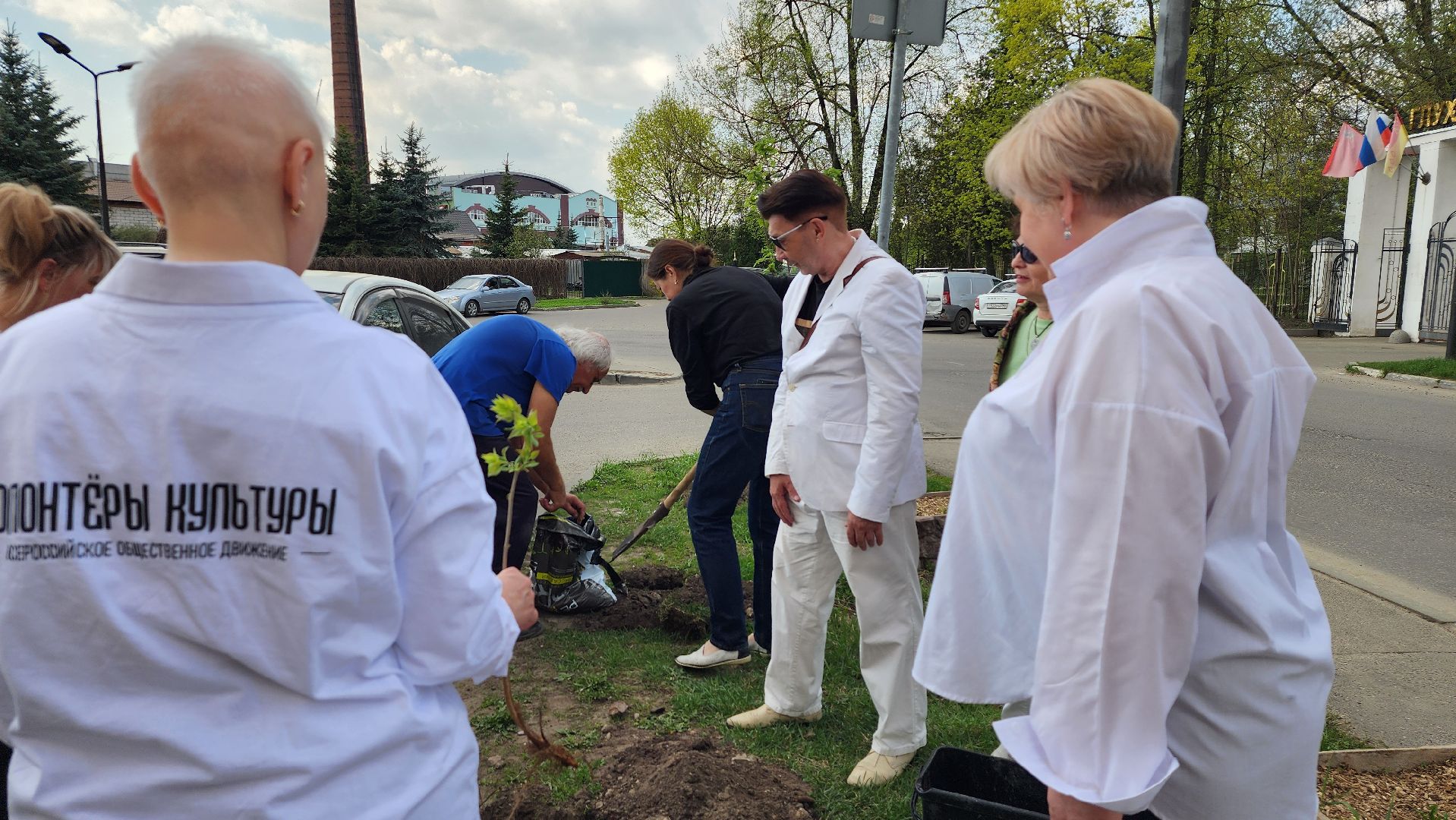 сирень победы, высадка саженцев,  глуховский парк, ногинск, богородский городской округ,