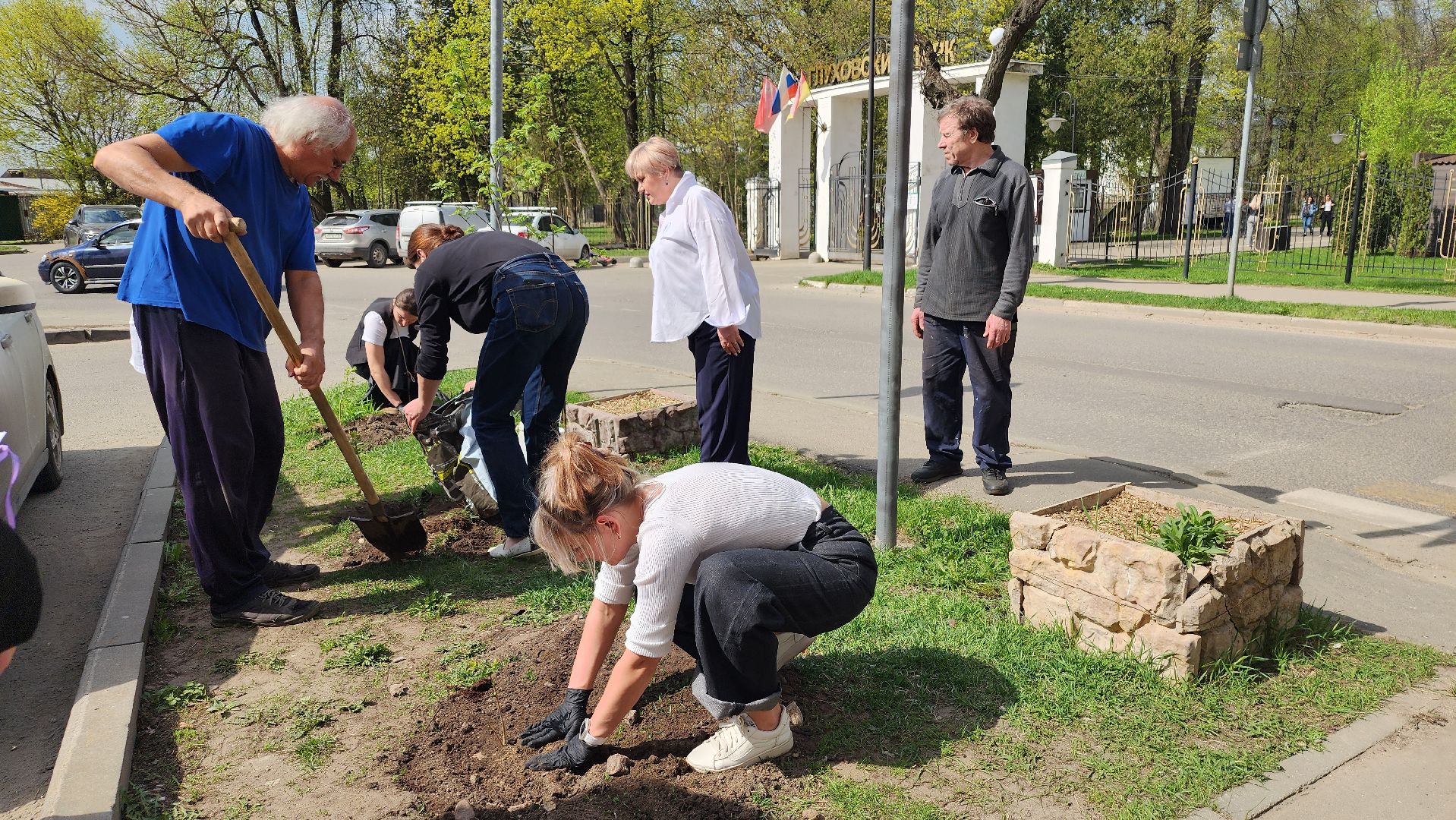 сирень победы, высадка саженцев,  глуховский парк, ногинск, богородский городской округ,