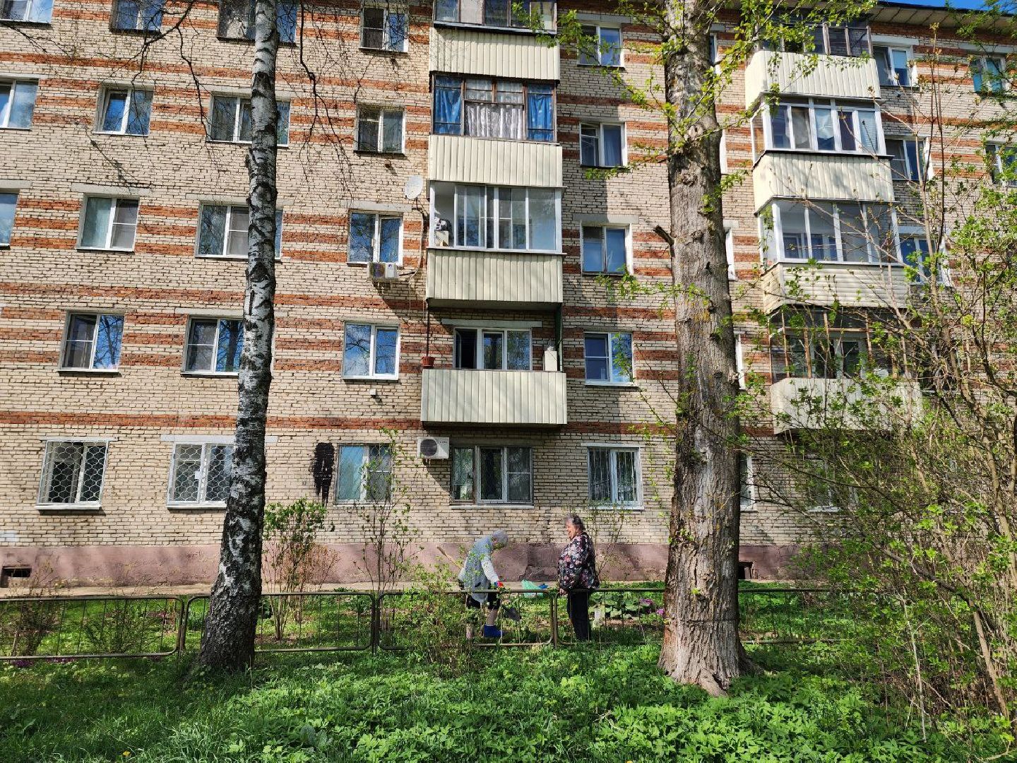 солнечногорск, жители, двор, улица, цветы, растения,