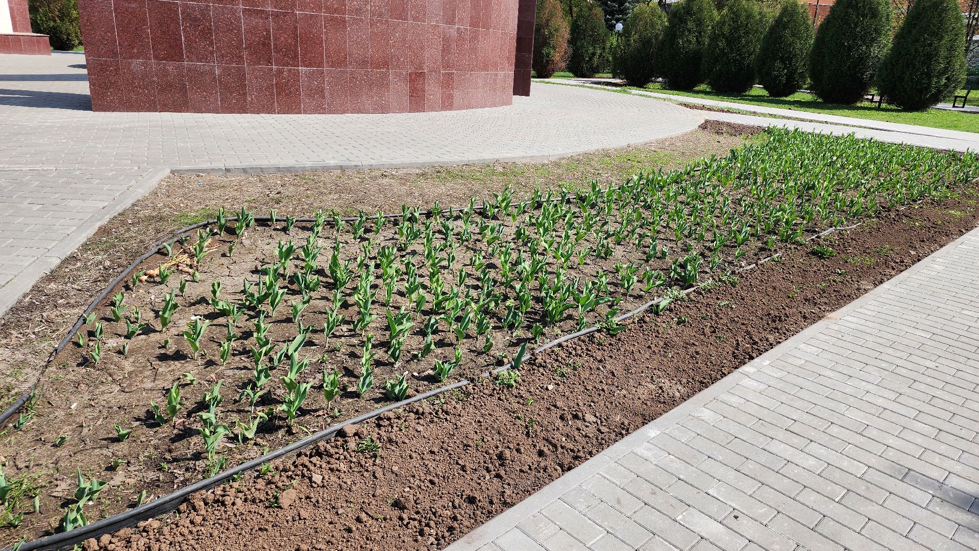 день победы, мемориал аллея памяти, щёлково,  реконструкция мемориала,