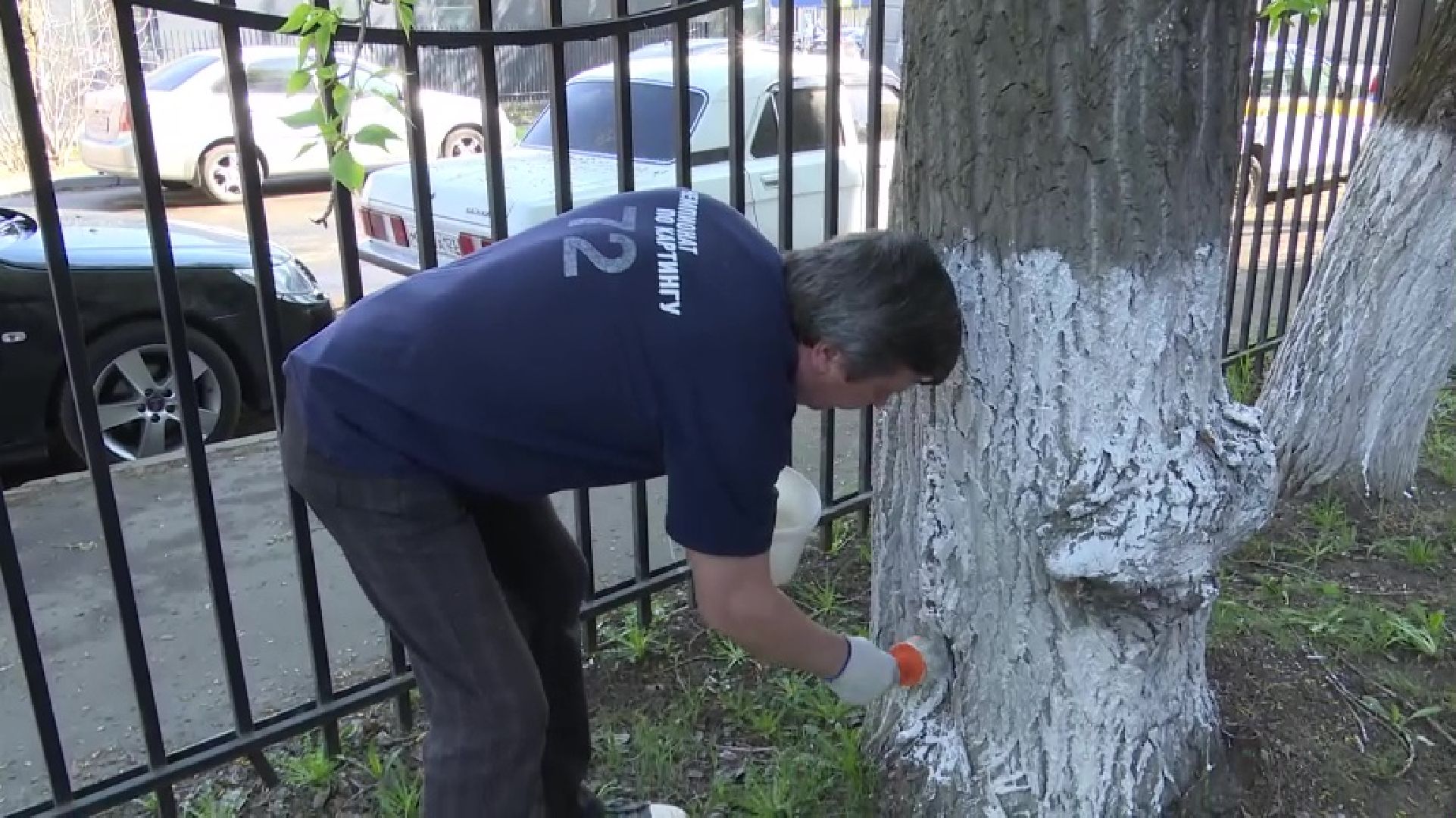 реутов, благоустройство, субботник, чистота, грабли, мусор,