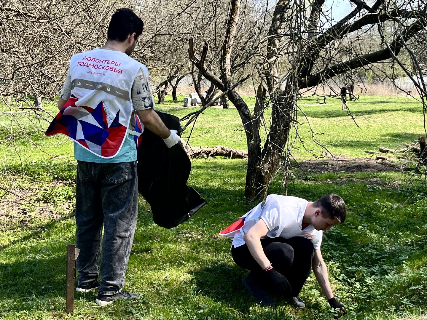 наро-фоминск, наро-фоминский городской округ, субботник, яблоневый сад, молодежь наро-фоминска,волонтеры подмосковья,