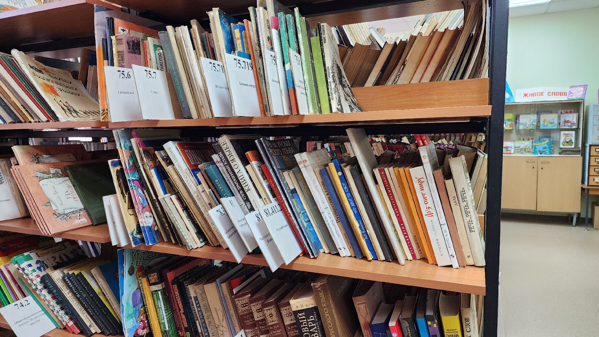 библиотека имени Пушкина, Глуховская библиотека, Глухово, Ногинск, Богородский городской округ,