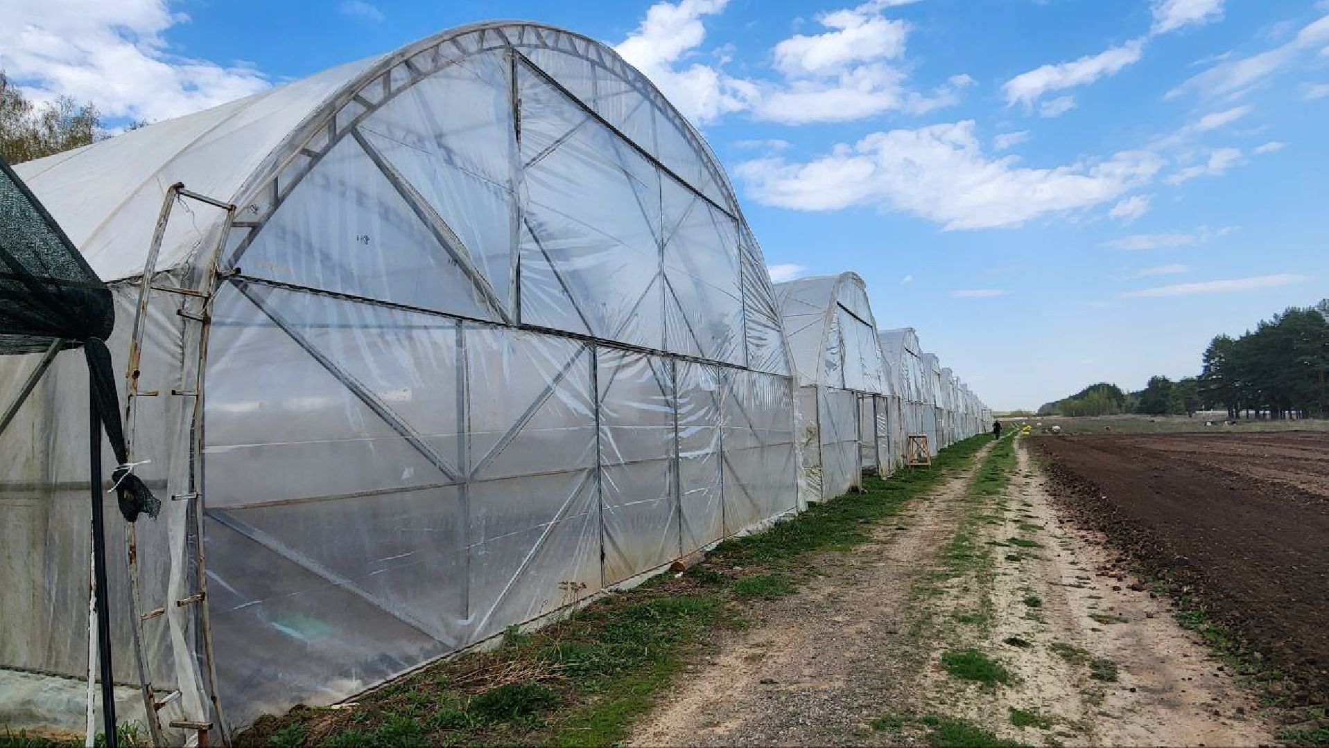 Луховицы, Сельское хозяйство,