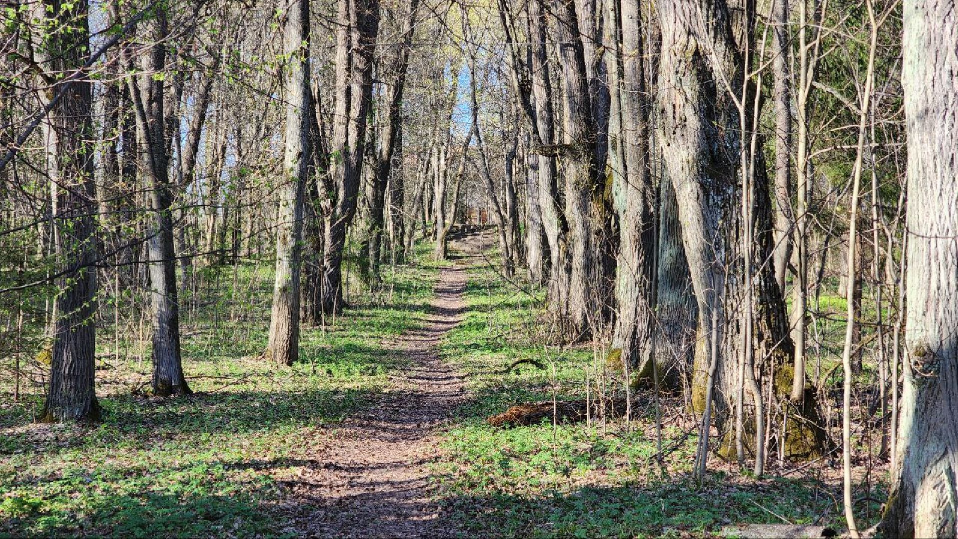 Дмитров, Подъячево, Усадьба Обольяниновых, Минимущества,