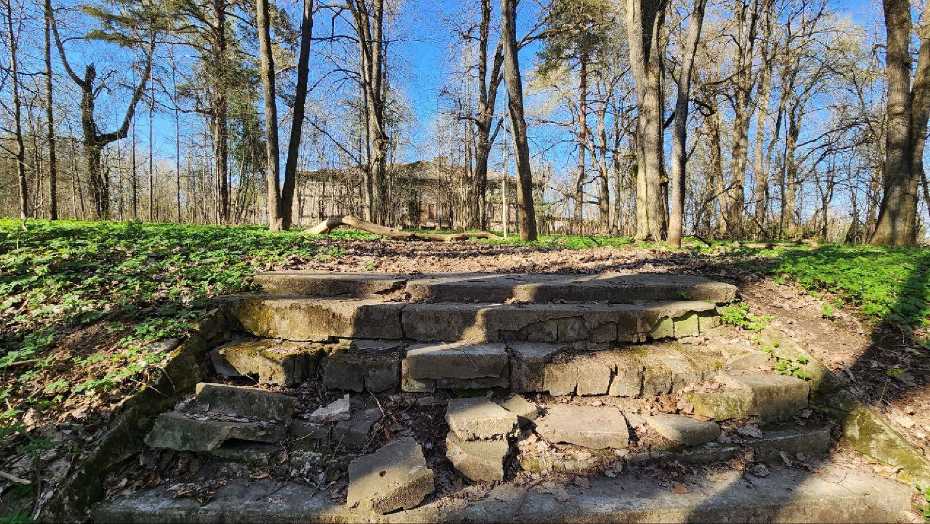 Дмитров, Подъячево, Усадьба Обольяниновых, Минимущества,