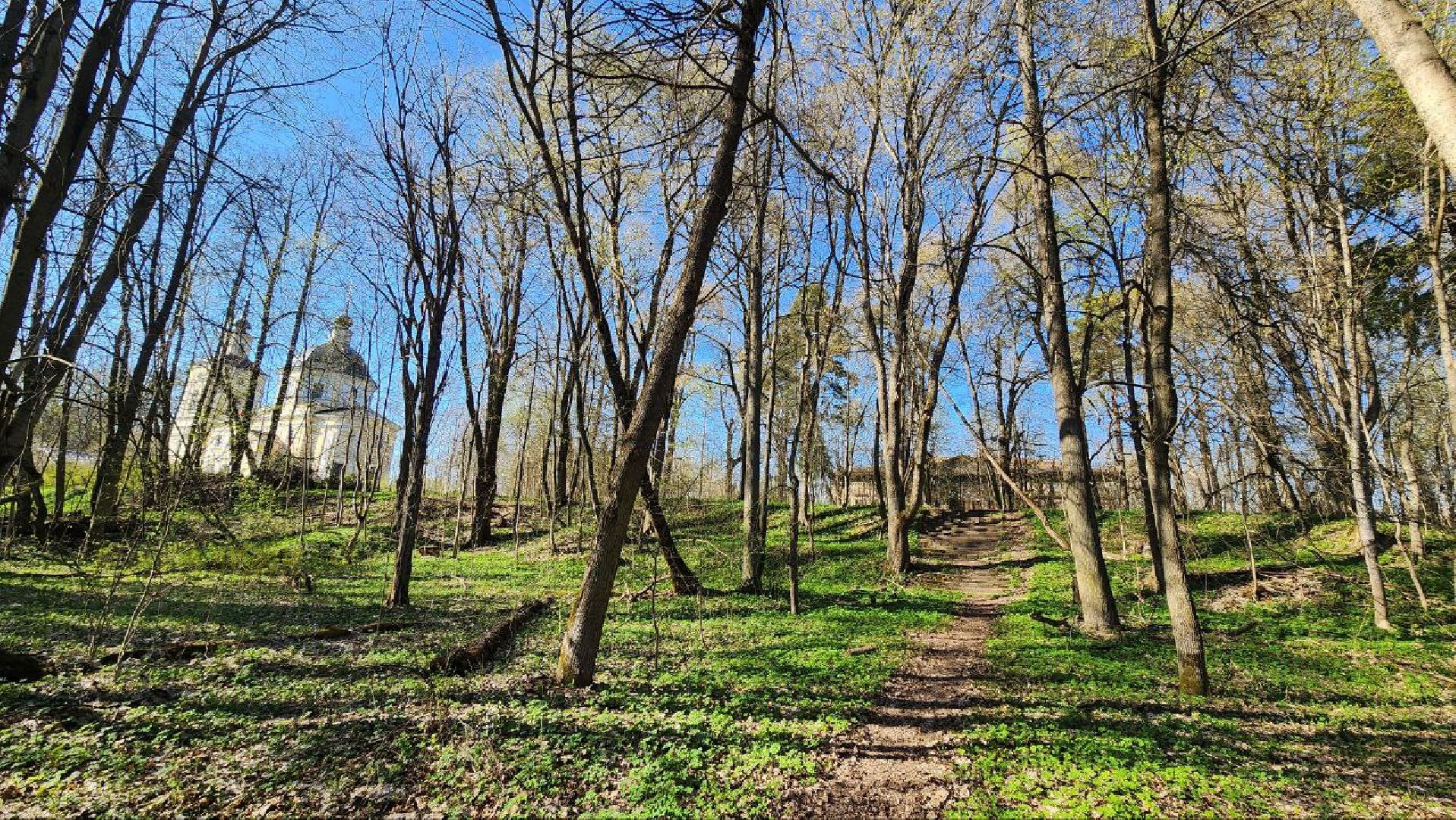 Дмитров, Подъячево, Усадьба Обольяниновых, Минимущества,