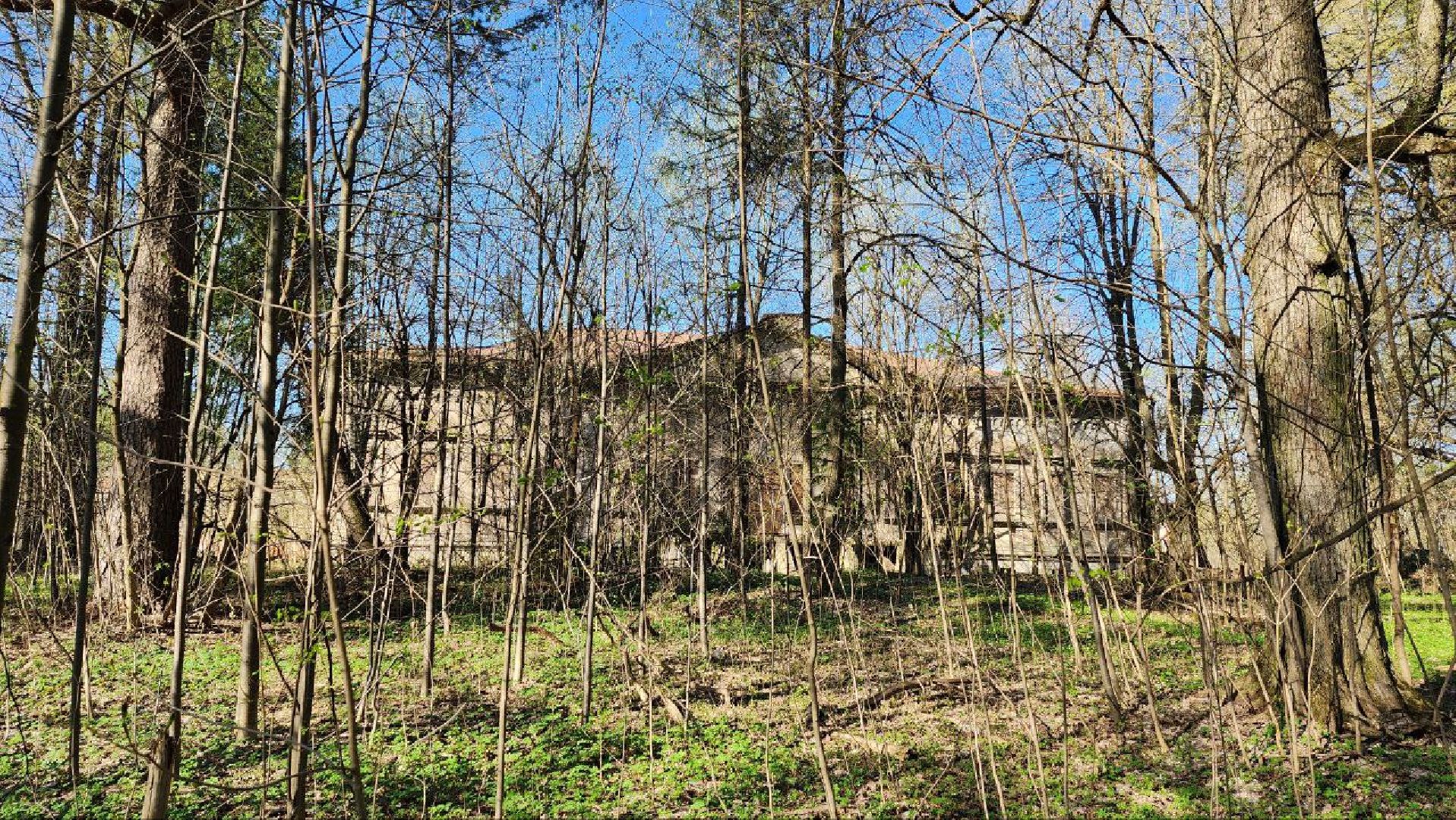 Дмитров, Подъячево, Усадьба Обольяниновых, Минимущества,