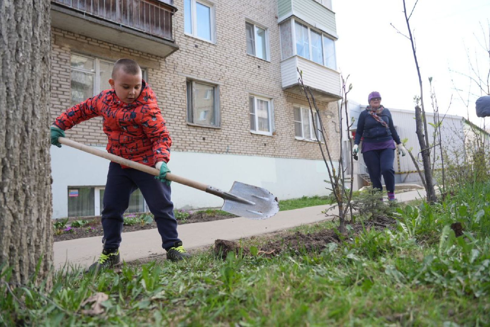 Сергиев Посад, Сергиево-Посадский городской округ, Субботник, Общество, Жители, Цветы