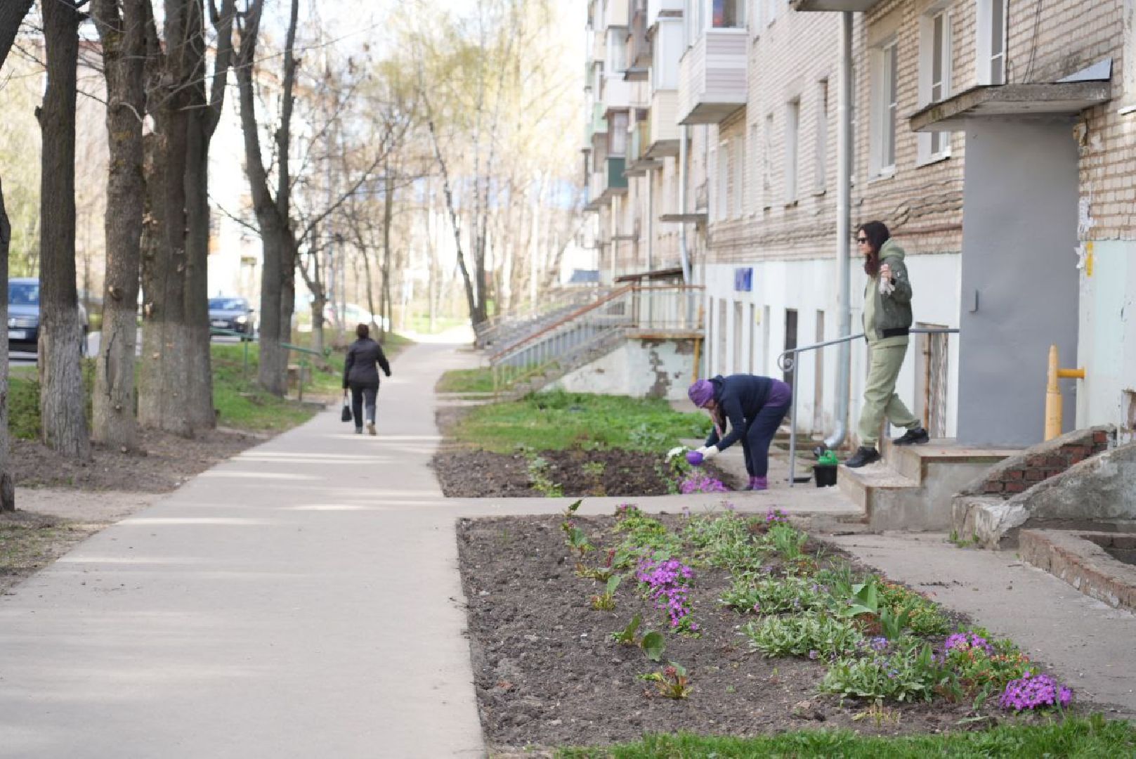 Сергиев Посад, Сергиево-Посадский городской округ, Субботник, Общество, Жители, Цветы