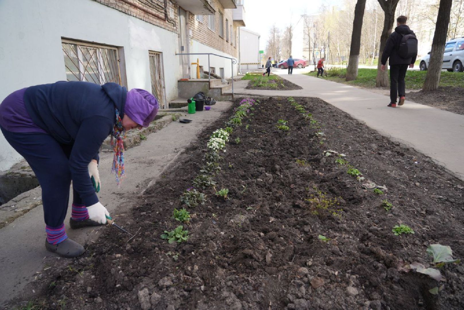Сергиев Посад, Сергиево-Посадский городской округ, Субботник, Общество, Жители, Цветы