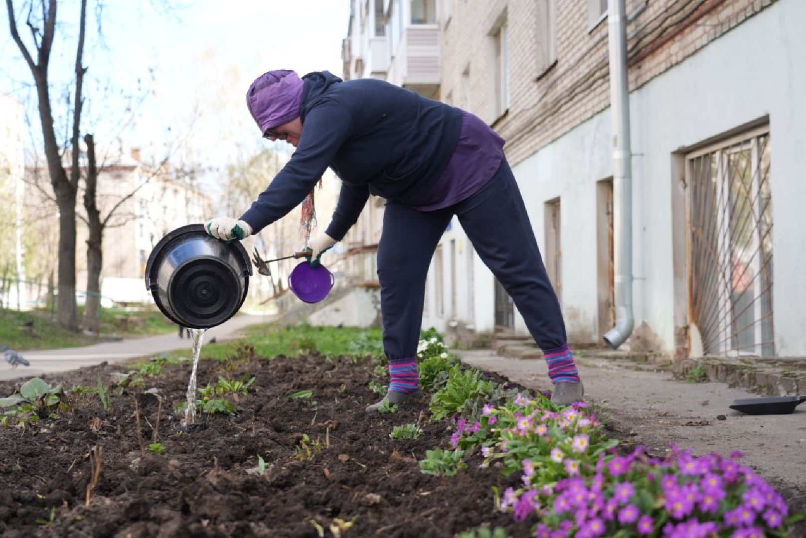 Сергиев Посад, Сергиево-Посадский городской округ, Субботник, Общество, Жители, Цветы