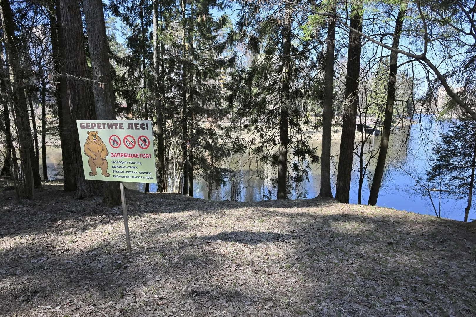 субботник во власихе, территория власихи, уборка леса, прогулочная зона,