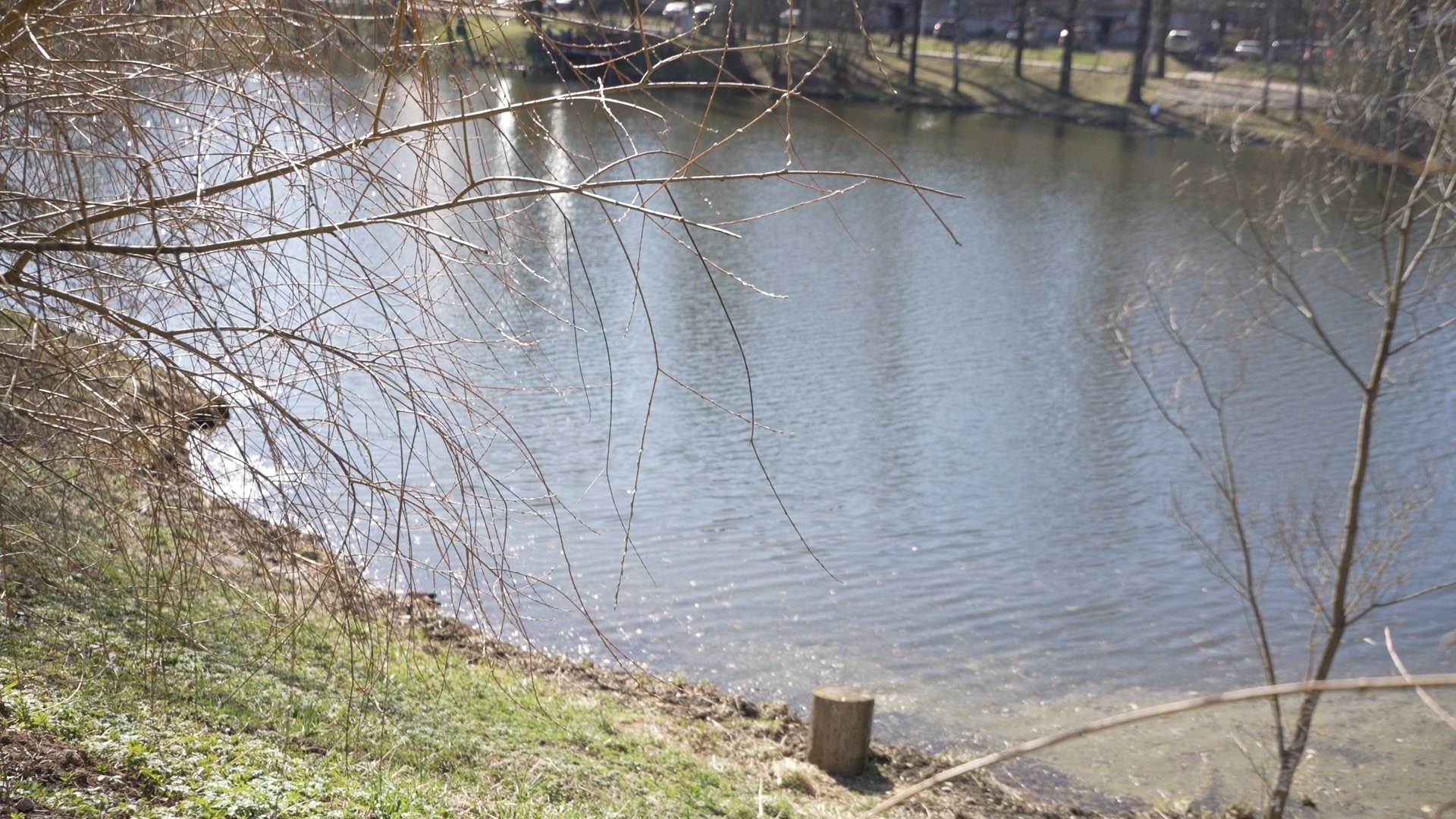 субботник во власихе, территория власихи, уборка леса, прогулочная зона,