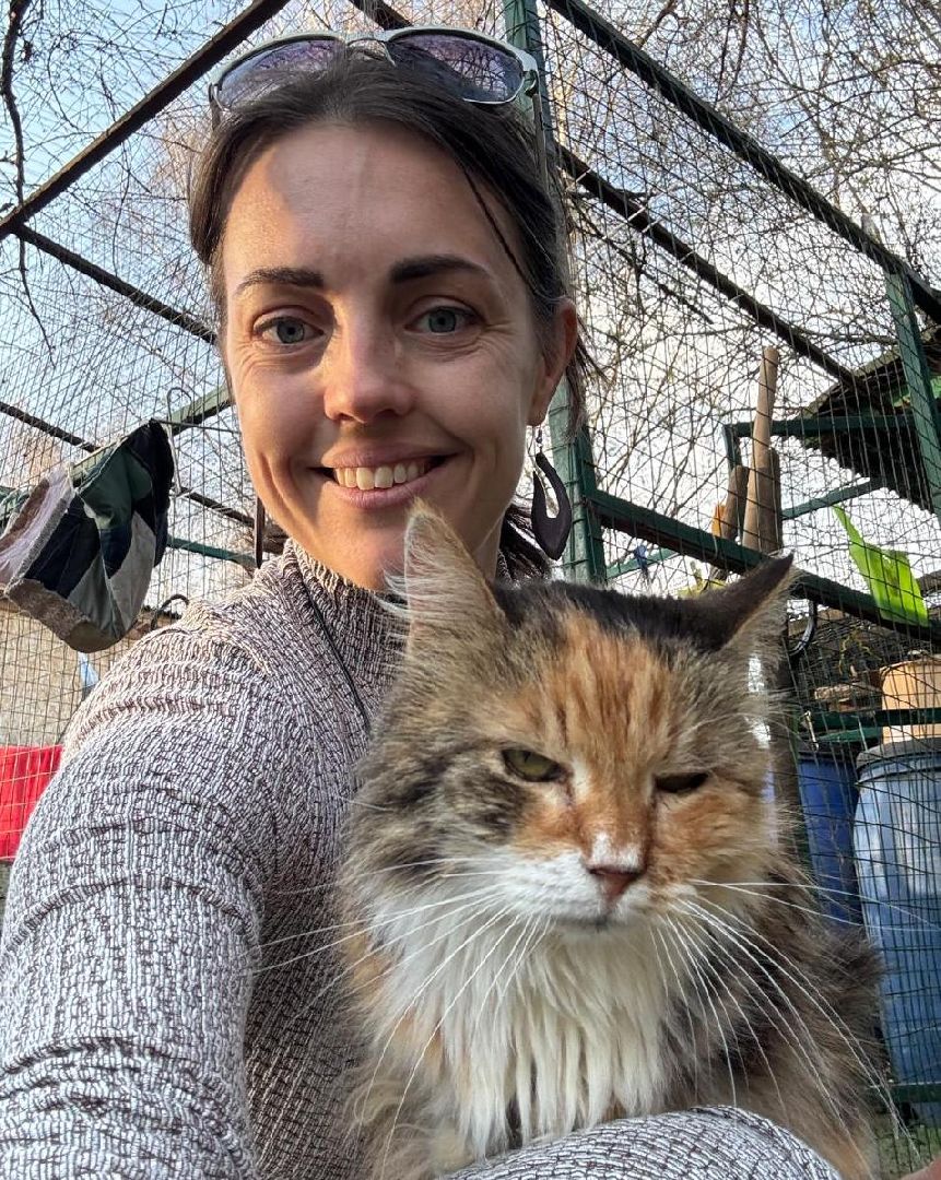 пушкинский, приют для бездомных животных, кошки, собаки, волонтерская группа, нежный бизнес, корма для животных, подарки, помощь животным,