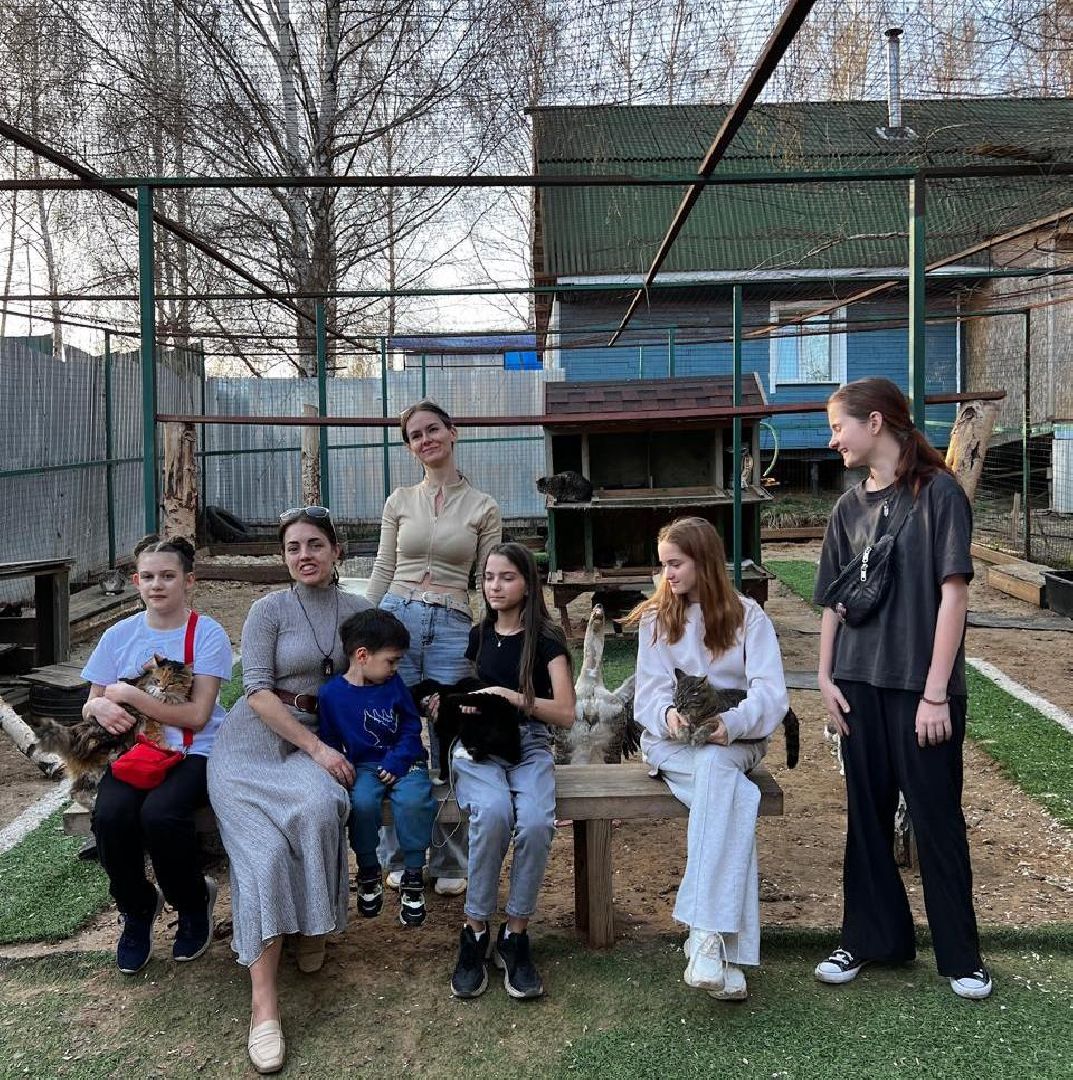 пушкинский, приют для бездомных животных, кошки, собаки, волонтерская группа, нежный бизнес, корма для животных, подарки, помощь животным,