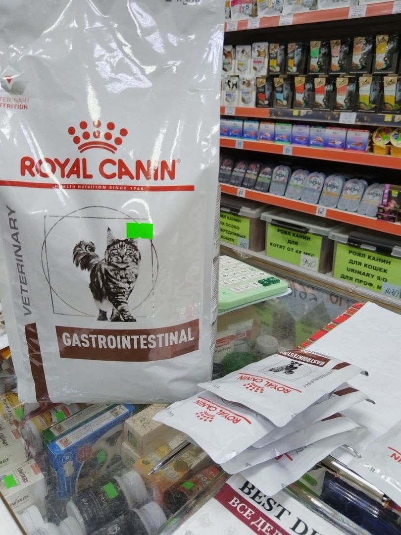 пушкинский, приют для бездомных животных, кошки, собаки, волонтерская группа, нежный бизнес, корма для животных, подарки, помощь животным,