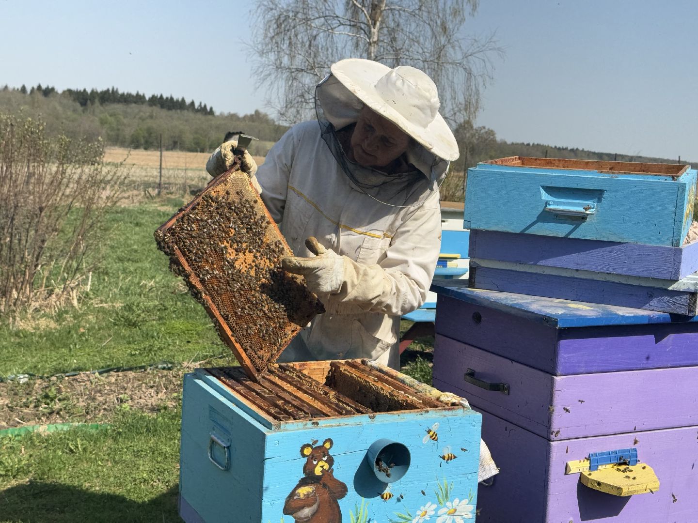 шаховская, пчеловод, пчеловодство, мёд,