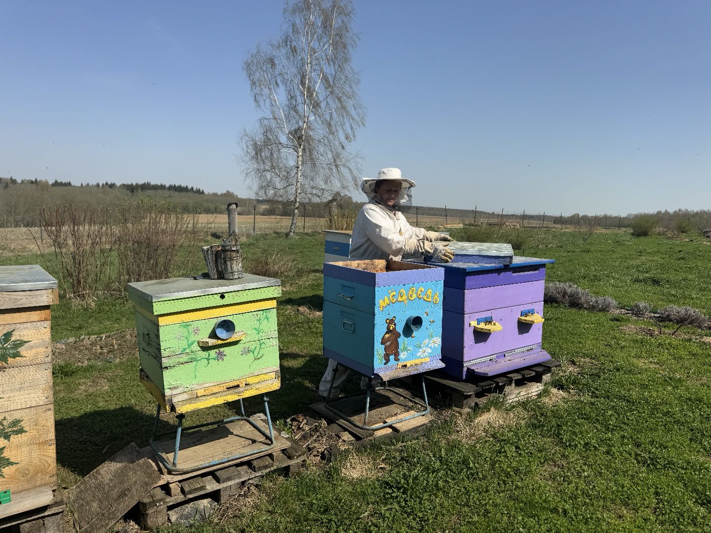 шаховская, пчеловод, пчеловодство, мёд,