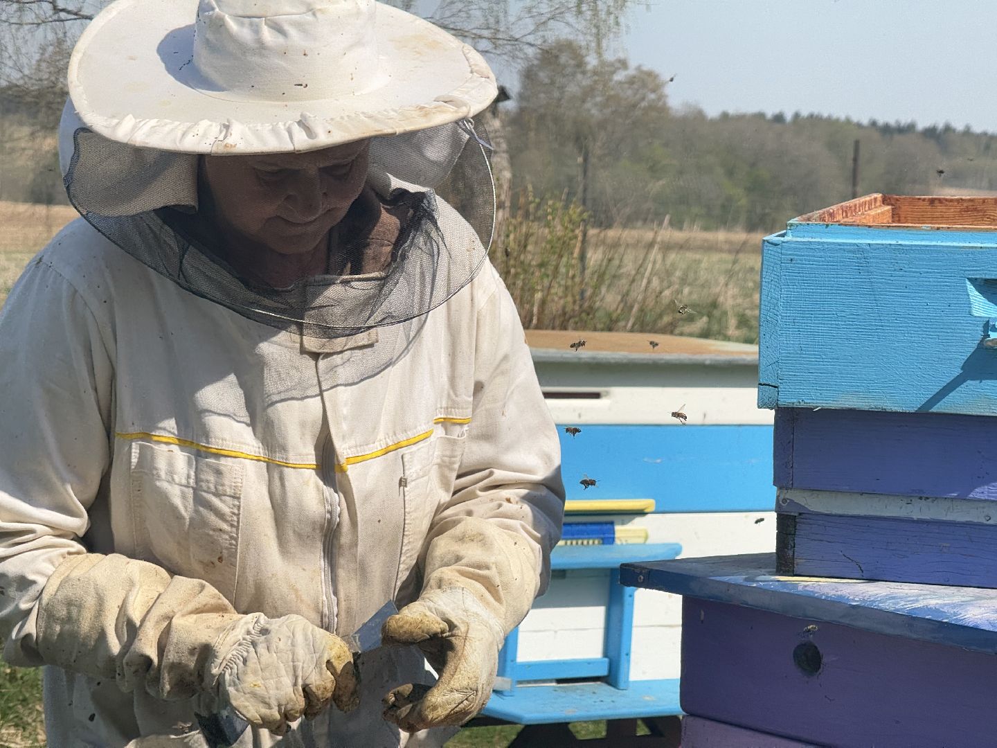 шаховская, пчеловод, пчеловодство, мёд,