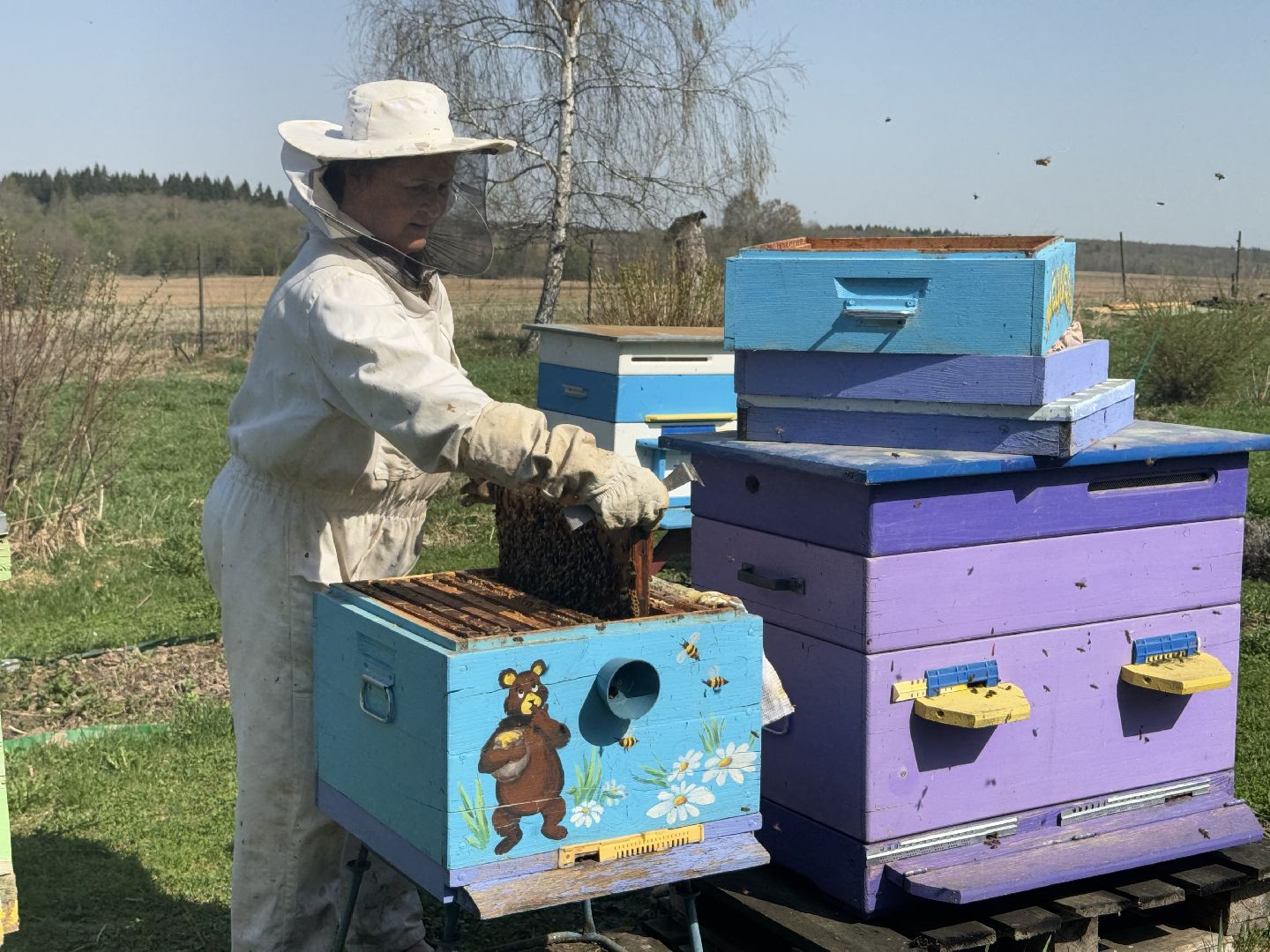 шаховская, пчеловод, пчеловодство, мёд,