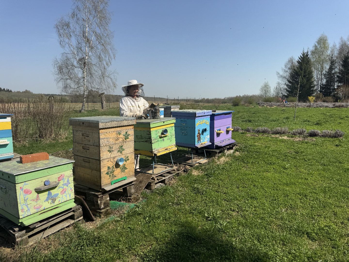 шаховская, пчеловод, пчеловодство, мёд,