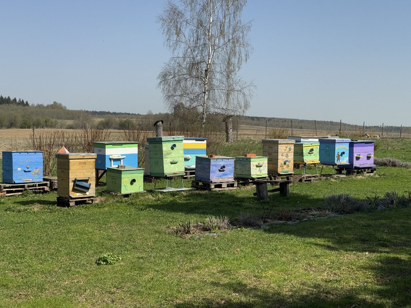 шаховская, пчеловод, пчеловодство, мёд,