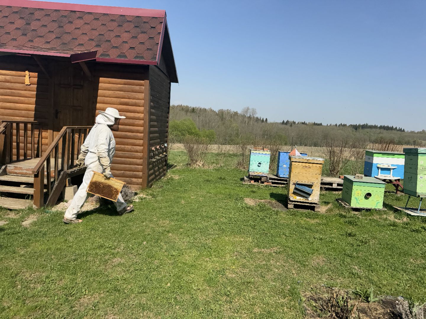 шаховская, пчеловод, пчеловодство, мёд,