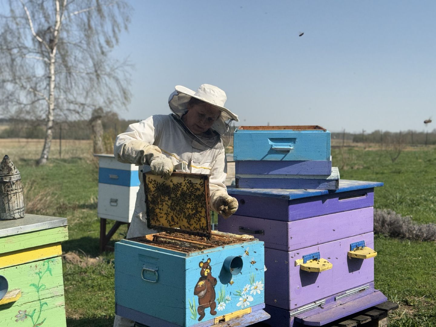 шаховская, пчеловод, пчеловодство, мёд,