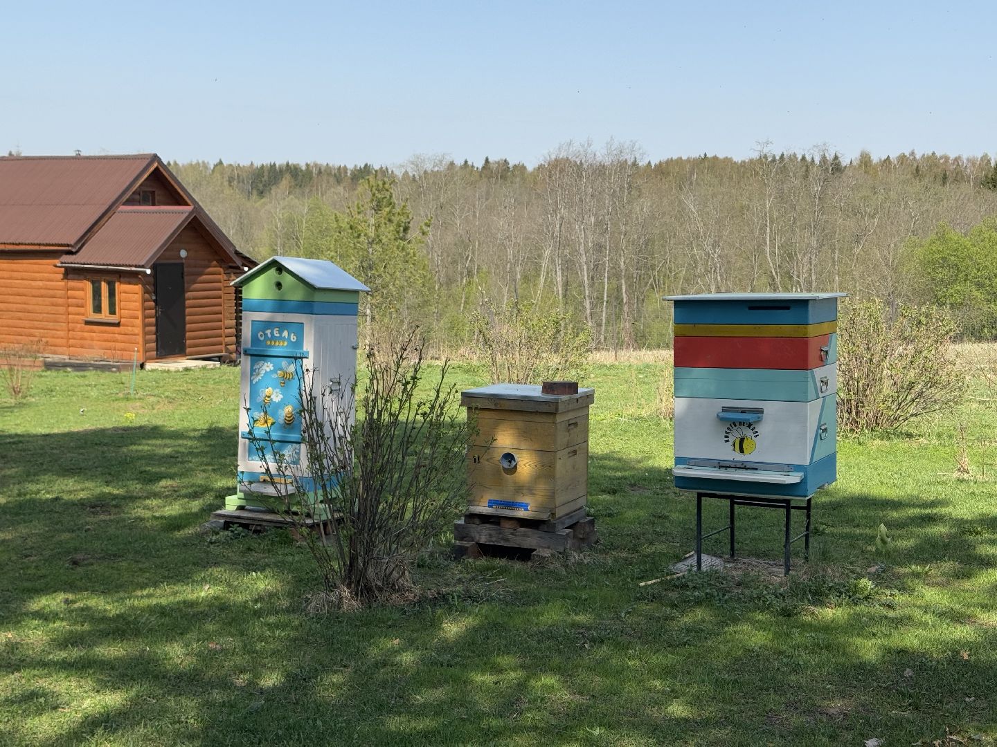 шаховская, пчеловод, пчеловодство, мёд,