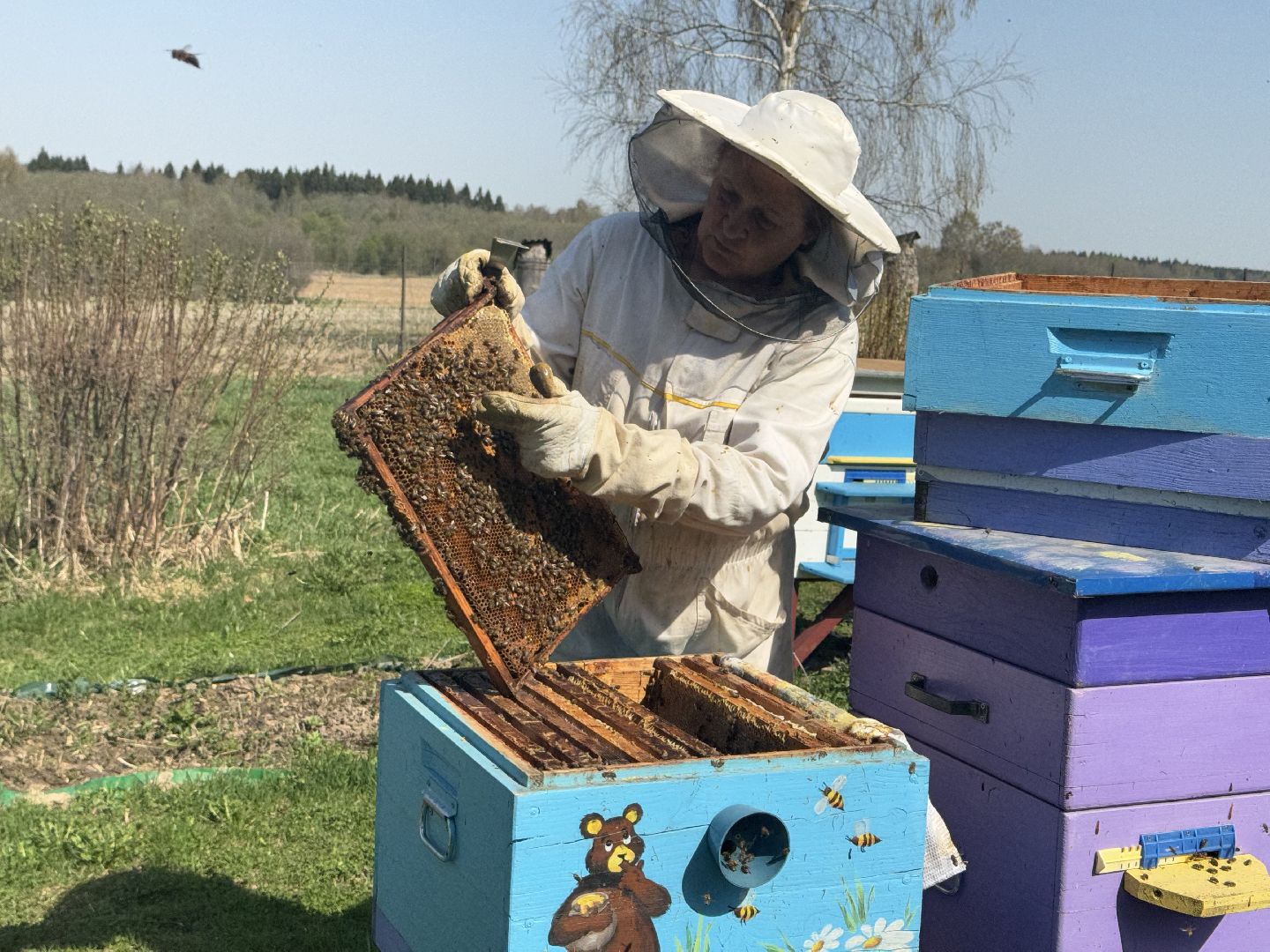 шаховская, пчеловод, пчеловодство, мёд,