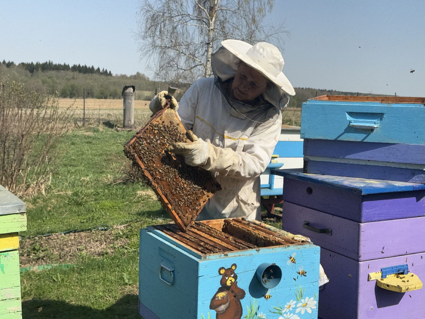 шаховская, пчеловод, пчеловодство, мёд,