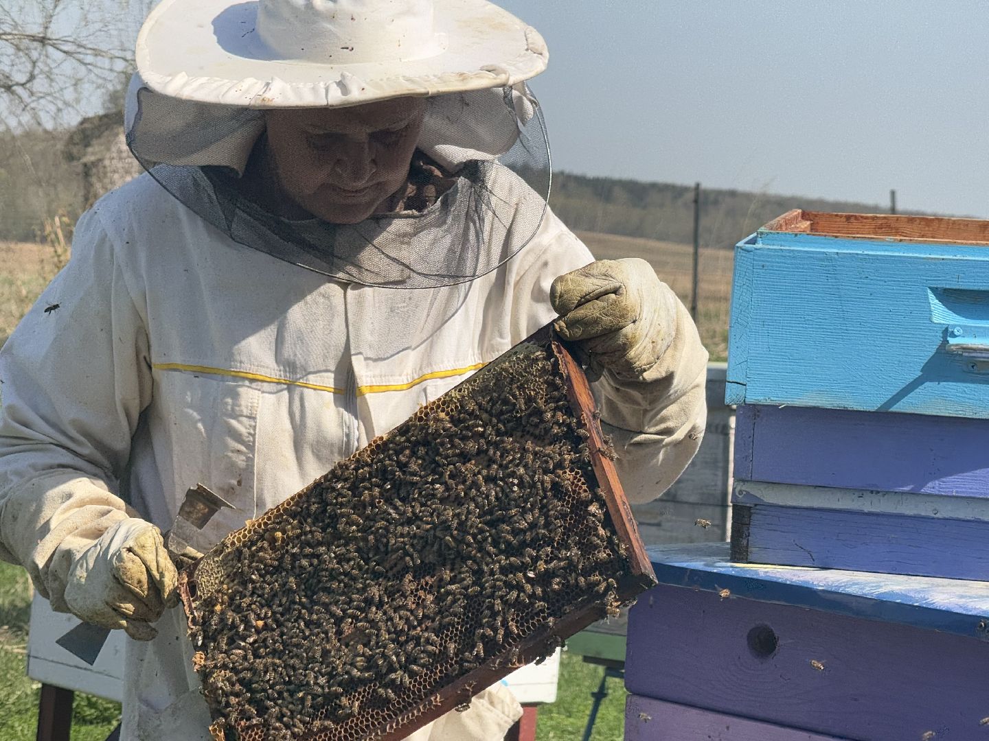 шаховская, пчеловод, пчеловодство, мёд,