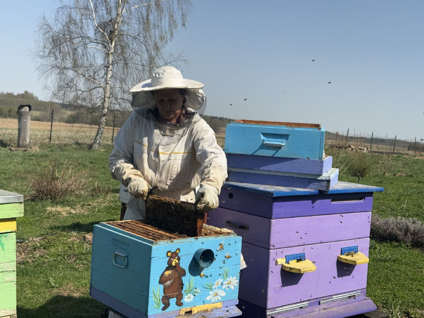 шаховская, пчеловод, пчеловодство, мёд,