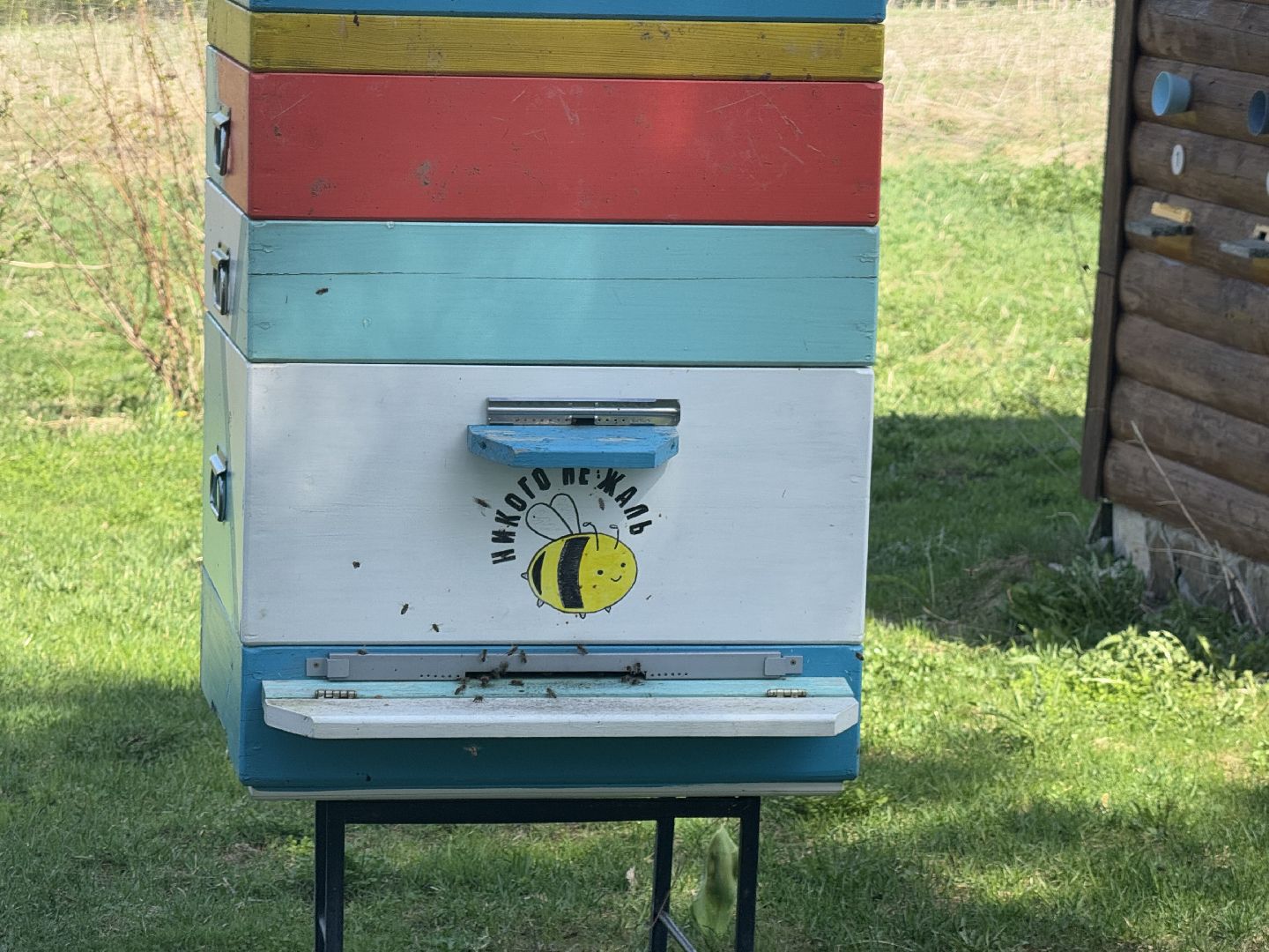 шаховская, пчеловод, пчеловодство, мёд,