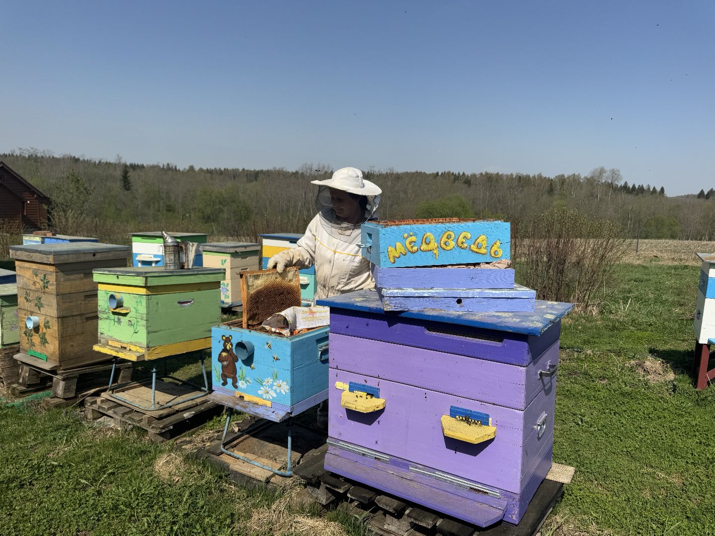 шаховская, пчеловод, пчеловодство, мёд,