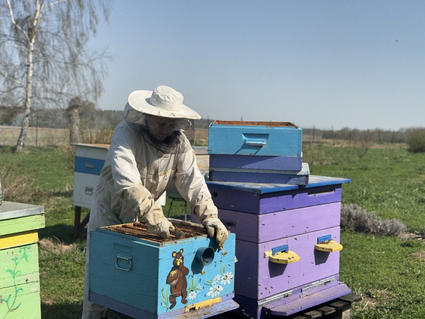 шаховская, пчеловод, пчеловодство, мёд,