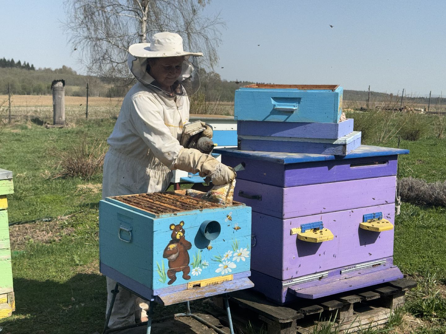 шаховская, пчеловод, пчеловодство, мёд,