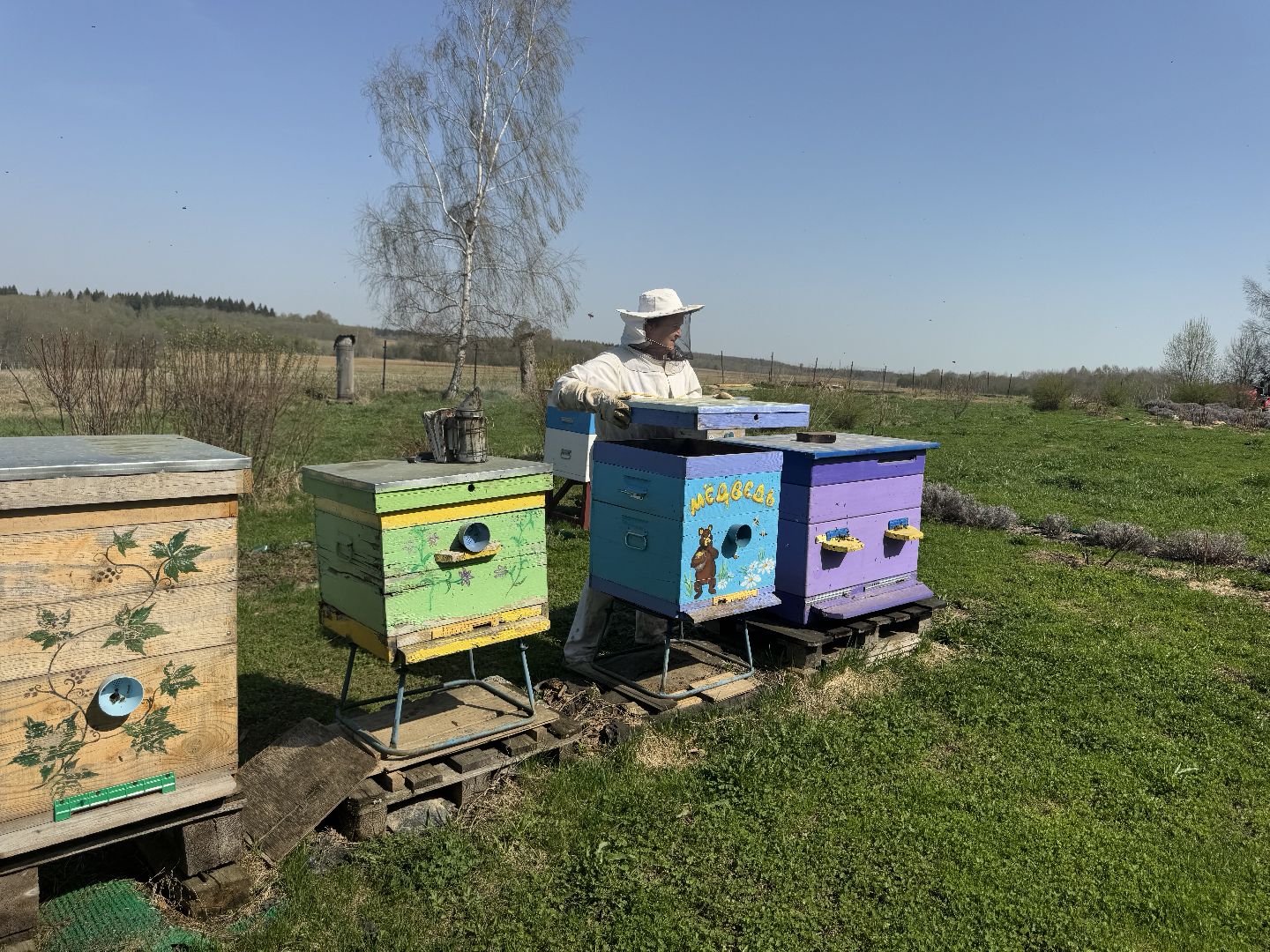 шаховская, пчеловод, пчеловодство, мёд,
