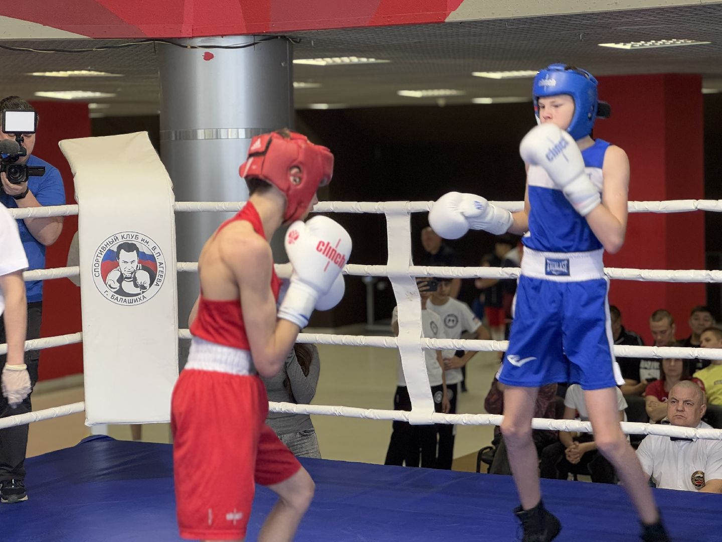 бокс, турнир дмитрия двали, ледовый дворец балашиха,