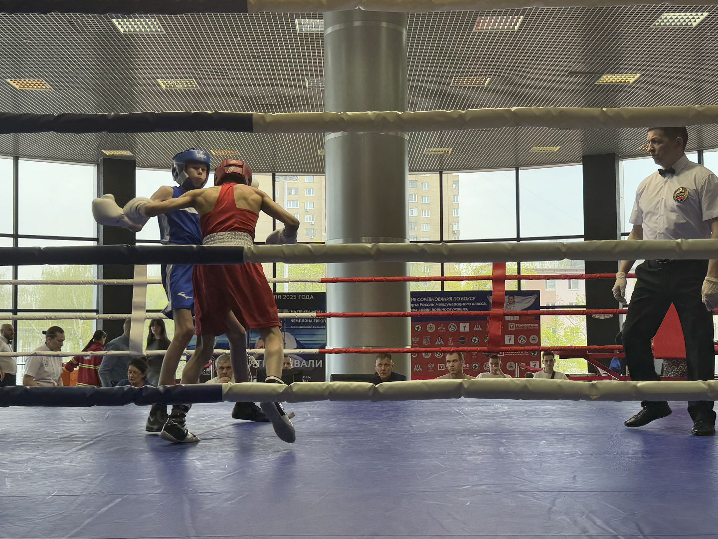 бокс, турнир дмитрия двали, ледовый дворец балашиха,