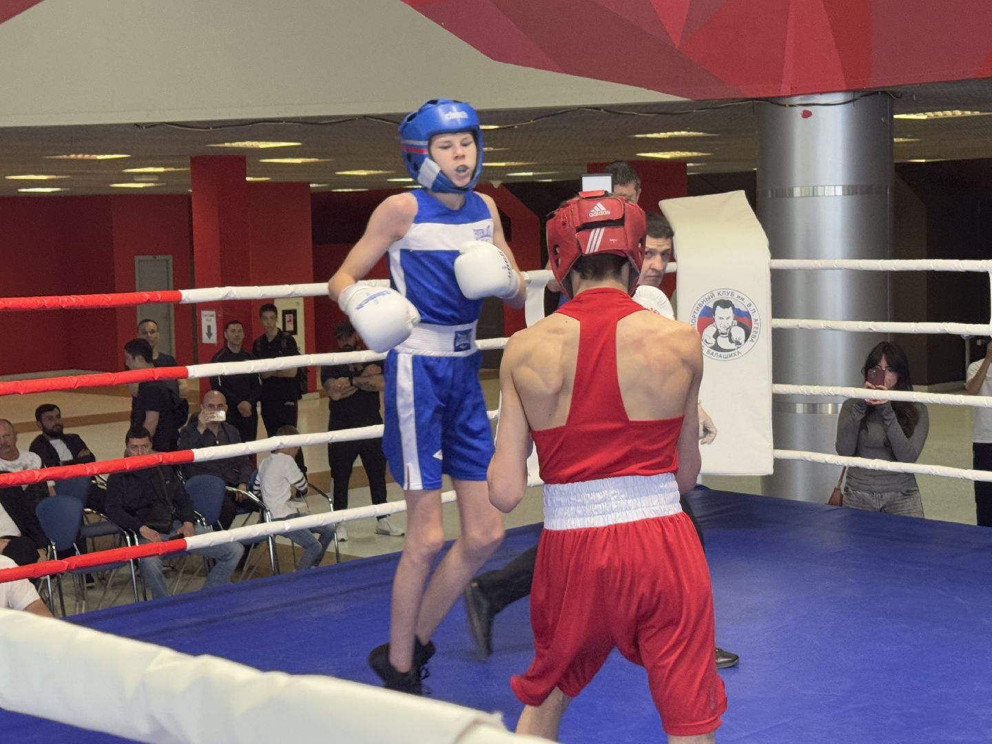 бокс, турнир дмитрия двали, ледовый дворец балашиха,