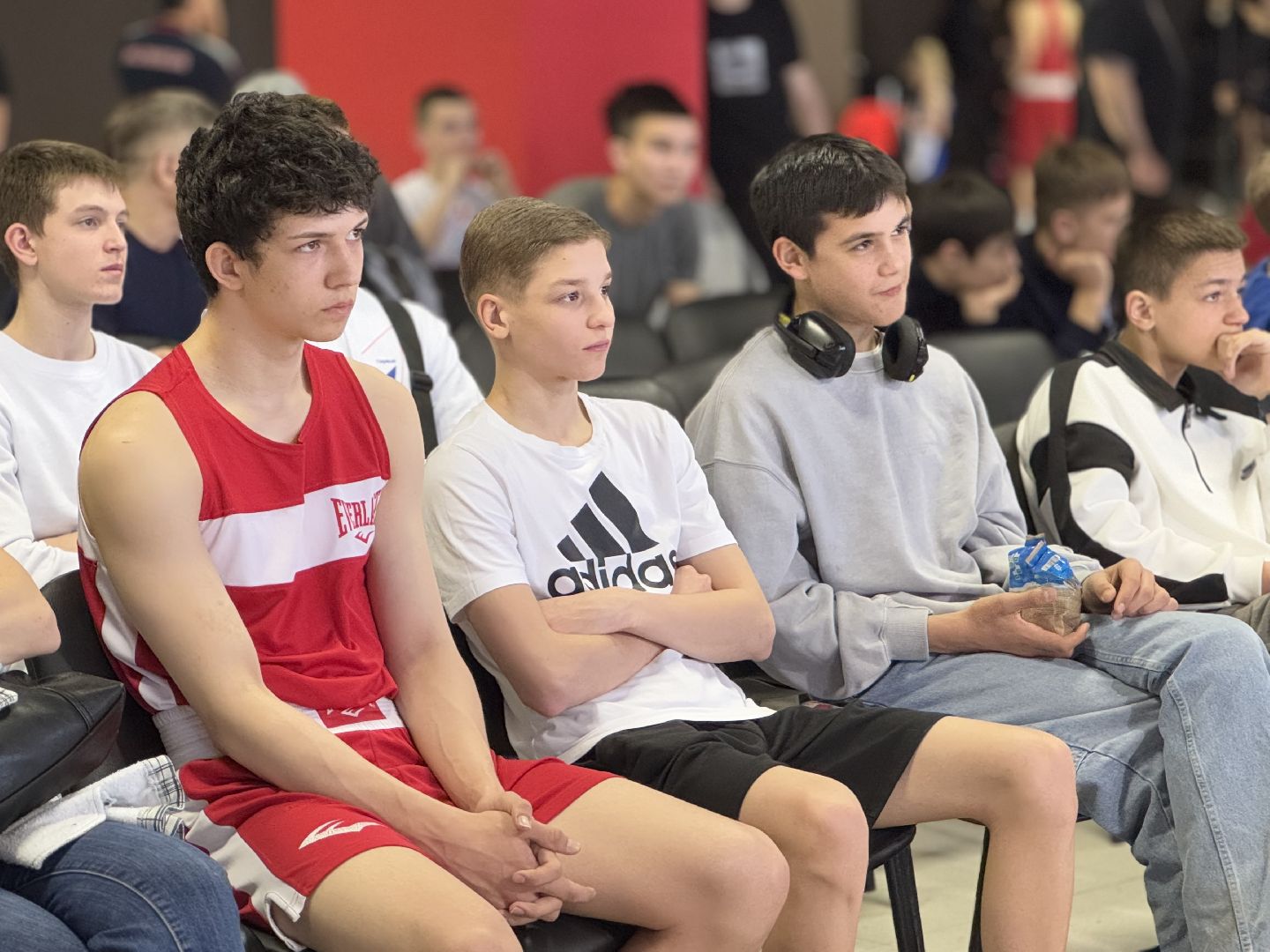 бокс, турнир дмитрия двали, ледовый дворец балашиха,