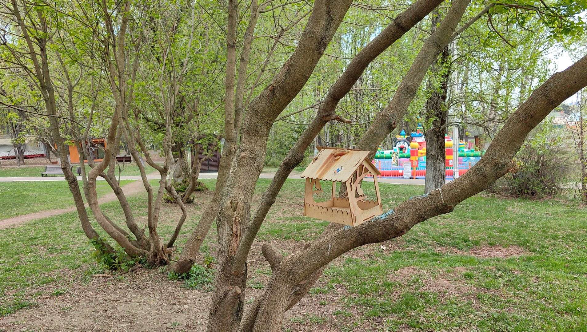 скворечник, парк, утки, птицы, корм для уток, кормушки,