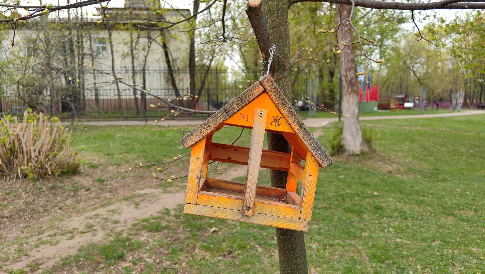 скворечник, парк, утки, птицы, корм для уток, кормушки,