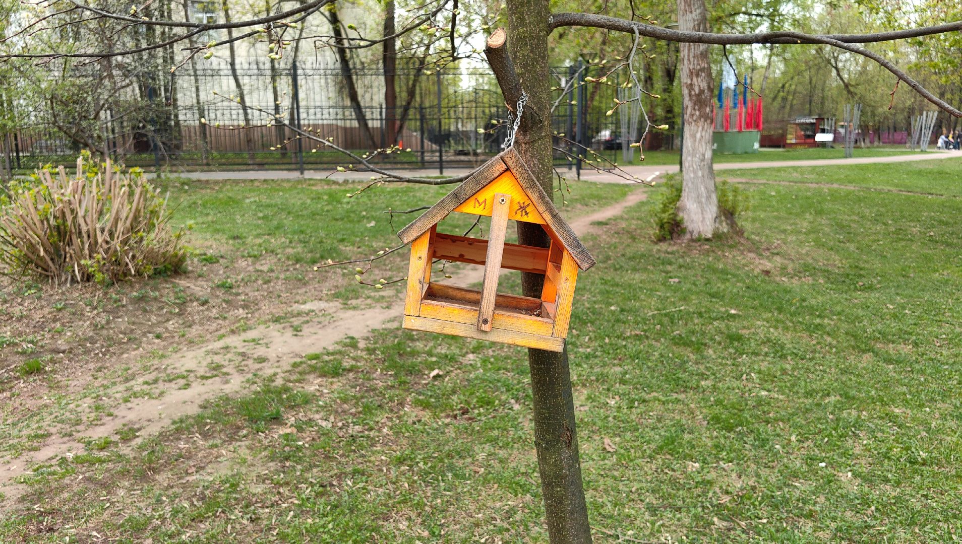 скворечник, парк, утки, птицы, корм для уток, кормушки,