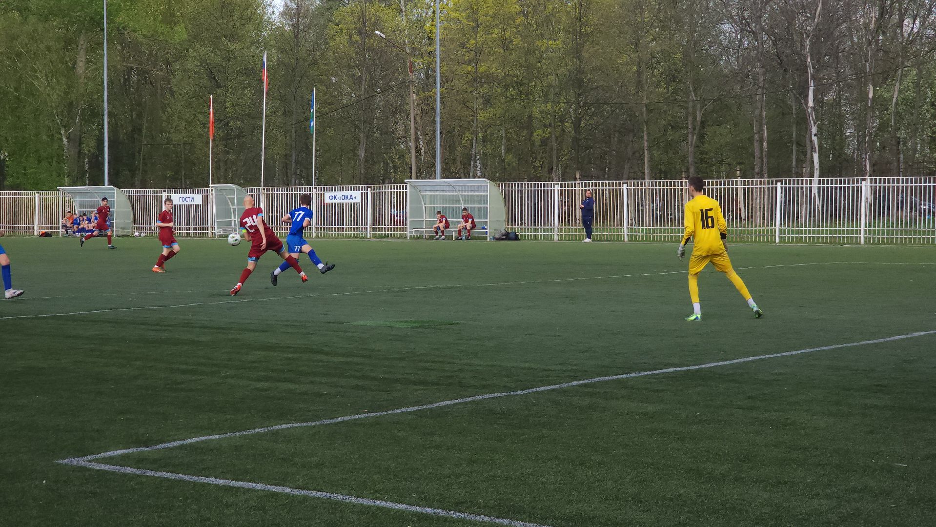 ступино, спорт, футбол,