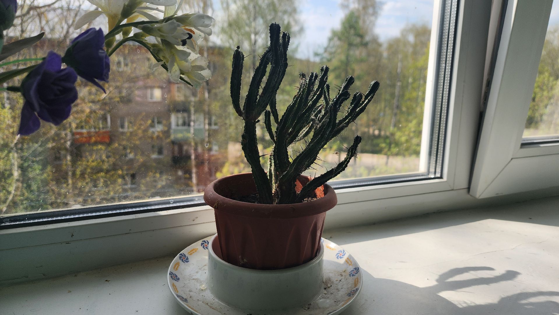 солнечногорск, улмца баранова, ветеран вов, герои среди нас ,таблички,